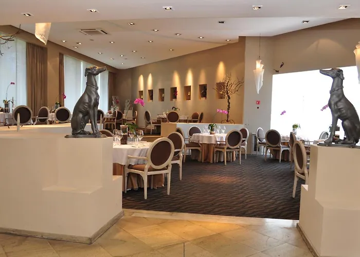 5 star hotels Royal Pedregal